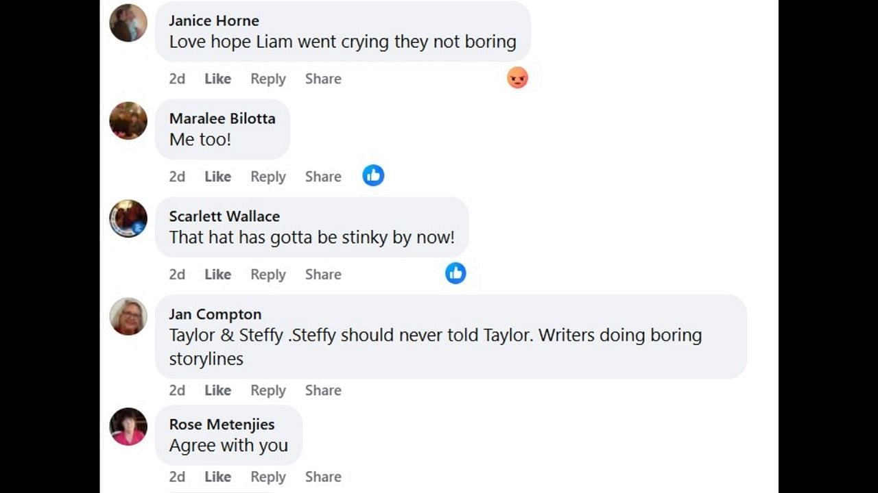 Fans slam the show's storyline (Image via Facebook/@The Bold and the Beautiful)